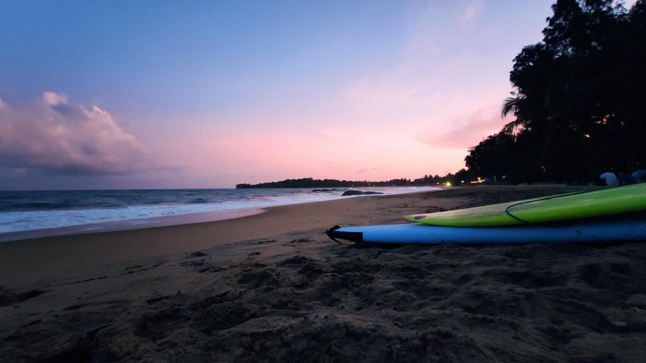 Surf Beach Hotel Arugam Bay Exteriör bild